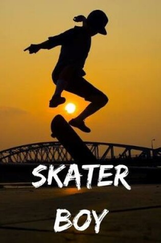 Cover of Skater boy