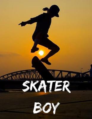 Book cover for Skater boy