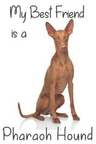 Cover of My best Friend is a Pharaoh Hound