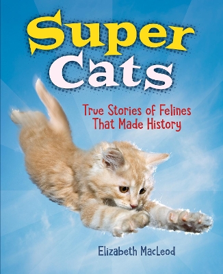 Book cover for Super Cats