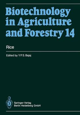 Book cover for Rice