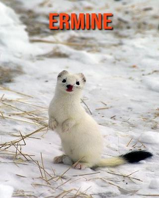 Book cover for Ermine