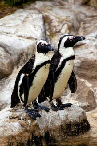 Cover of Black-Footed African Penguins Spheniscus Demersus Journal