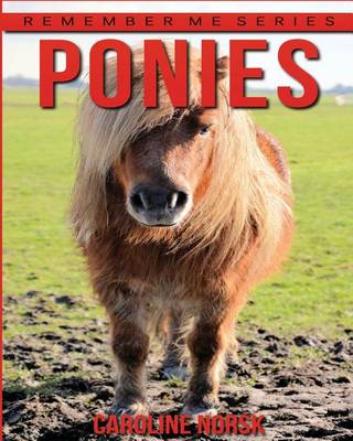 Book cover for Ponies