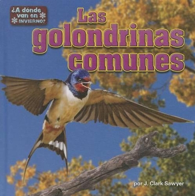 Book cover for Las Golondrinas Comunes (Barn Swallows)