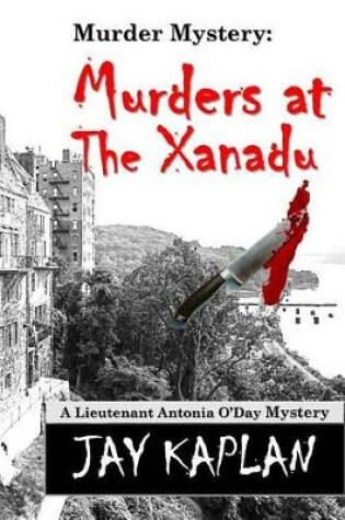 Cover of Murder Mystery