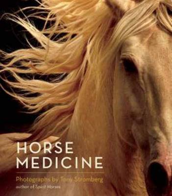 Book cover for Horse Medicine