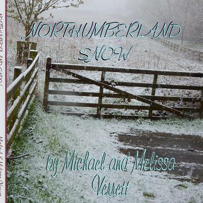 Book cover for Northumberland Snow