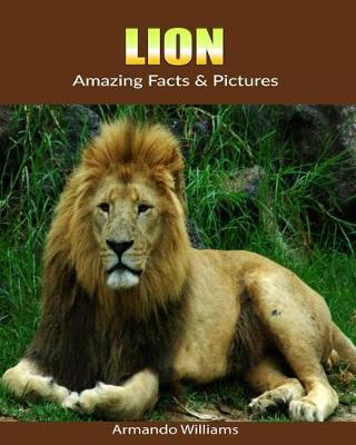 Book cover for Lion