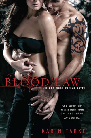 Book cover for Blood Law