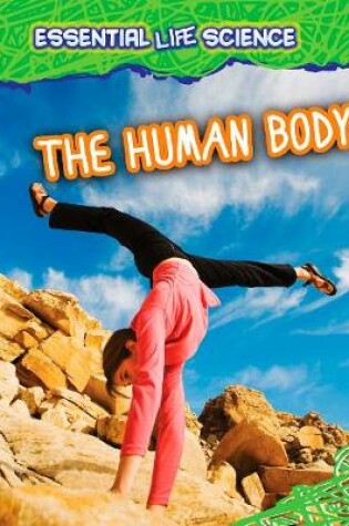 Cover of The Human Body