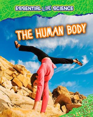 Cover of The Human Body