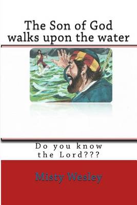 Book cover for The Son of God walks upon the water