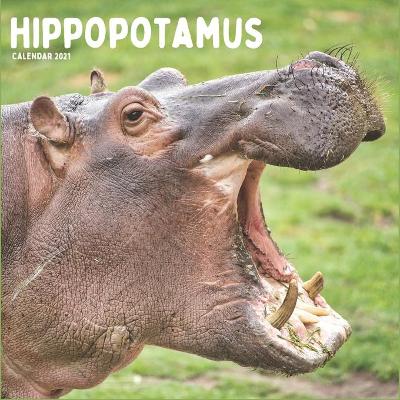 Book cover for Hippopotamus Calendar 2021