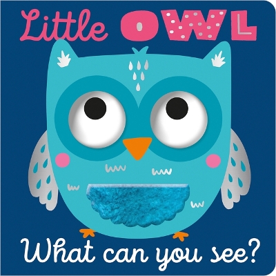 Book cover for Little Owl What Can You See?