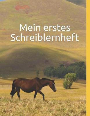 Book cover for Mein erstes Schreiblernheft