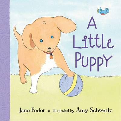 Book cover for A Little Puppy Board Book