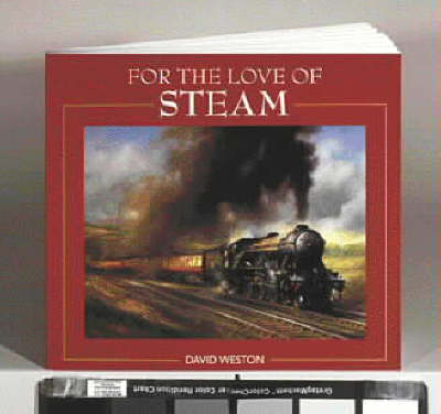 Book cover for For the Love of Steam