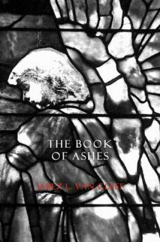 Cover of The Book Of Ashes