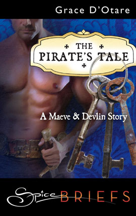 Book cover for The Pirate's Tale