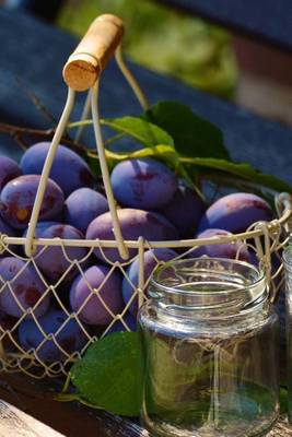 Book cover for Plums in a Steel Basket, for the Love of Food