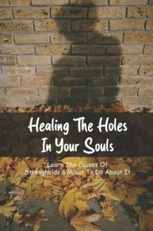 Cover of Healing The Holes In Your Souls