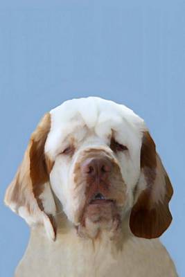 Book cover for Clumber Spaniel