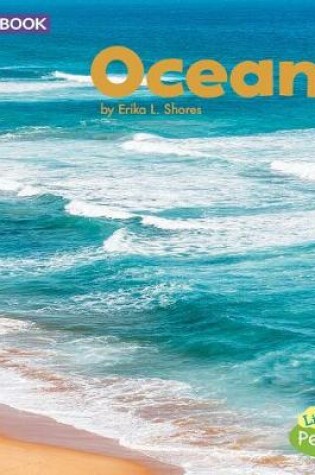 Cover of Oceans: a 4D Book (Bodies of Water)