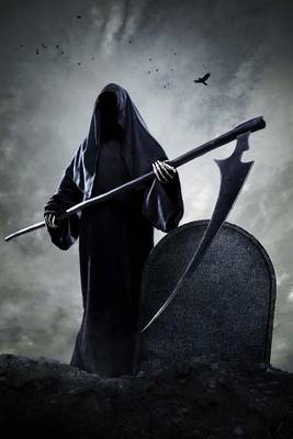 Book cover for The Grim Reaper at the Graveyard