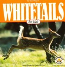 Book cover for White Tails for Kids