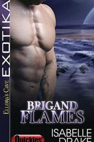 Cover of Brigand Flames