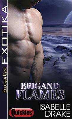 Book cover for Brigand Flames