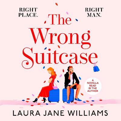 Book cover for The Wrong Suitcase