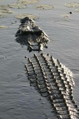 Cover of Saltwater Crocodile Reptile Journal