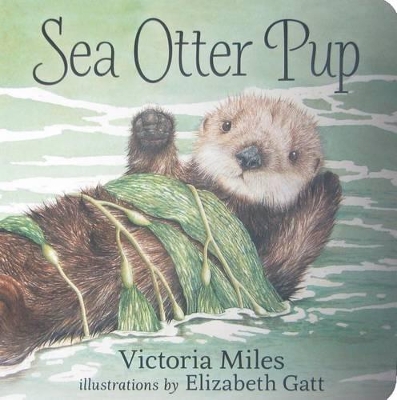 Book cover for Sea Otter Pup