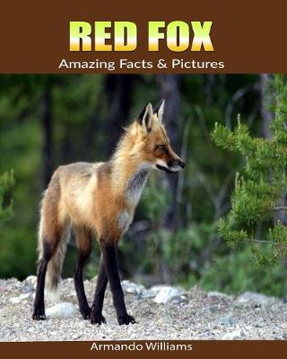 Book cover for Red Fox