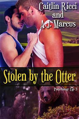 Book cover for Stolen by the Otter