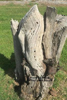 Book cover for Weathered Stump 100 Page Lined Journal