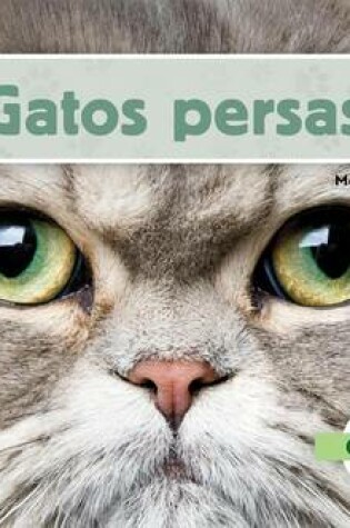 Cover of El Gato Persa, El