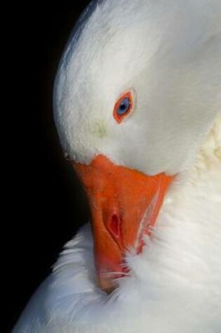 Cover of Close-up Portrait of a Goose Animal Journal