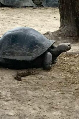 Cover of Huge Galapagos Tortoise, for the Love of Animals