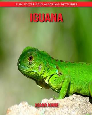 Book cover for Iguana