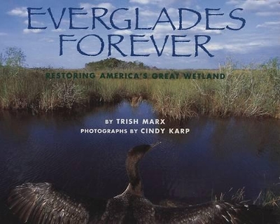 Book cover for Everglades Forever