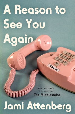 Book cover for A Reason to See You Again