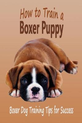 Book cover for How to Train a Boxer Puppy