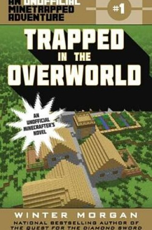 Cover of Trapped in the Overworld