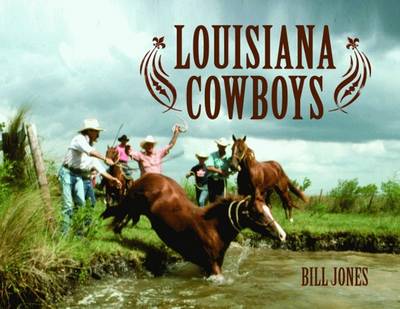 Book cover for Louisiana Cowboys