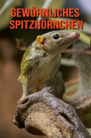 Cover of Gewöhnliches Spitzhörnchen
