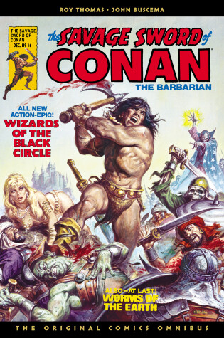 Cover of The Savage Sword of Conan: The Original Comics Omnibus Vol.2