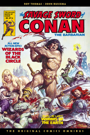 Book cover for The Savage Sword of Conan: The Original Comics Omnibus Vol.2
